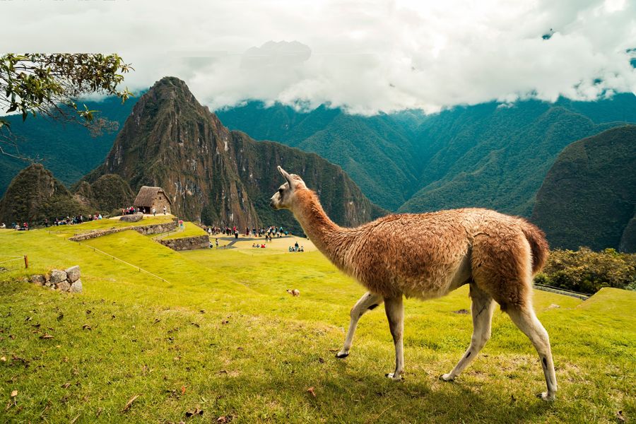 peru travel guide